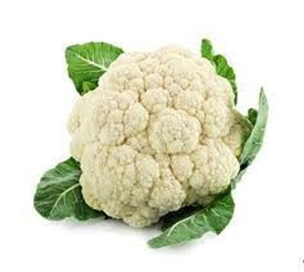 காலிபிளவர் / Cauliflower - Medium